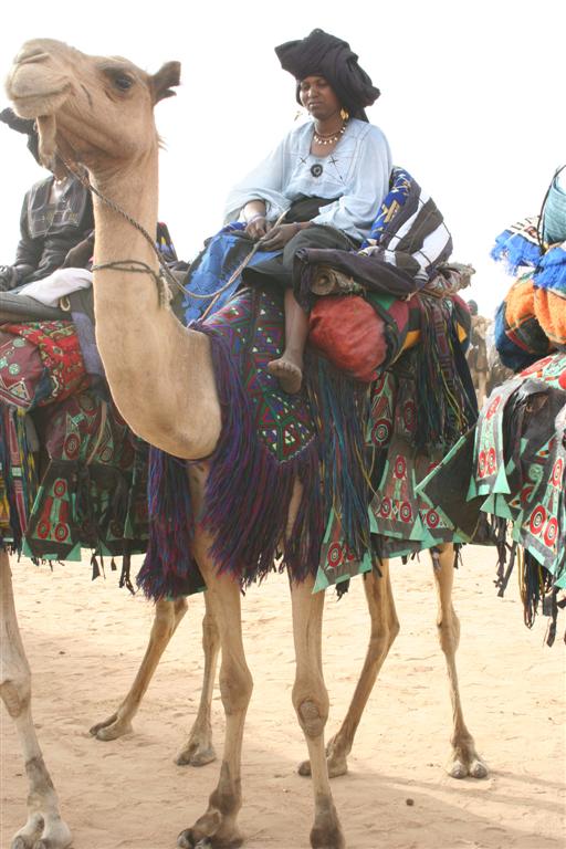 MudMaps 3392 Gaddafi camel party